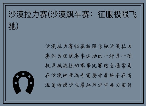沙漠拉力赛(沙漠飙车赛：征服极限飞驰)